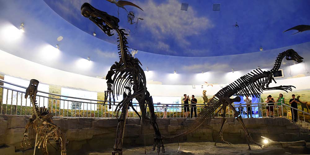 CNRS | Descoberto dinossauro com 125 milhões de anos e picos idênticos ao porco-espinho