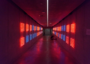 José Drummond, artista, estreia novo trabalho em Lisboa: “A ideia foi criar um espaço de meditação”