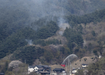 Japão | Centenas de bombeiros combatem incêndios florestais