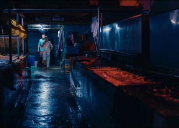 Cinema | “The Violin Case”, de Maxim Bessmertny, estreia em Maio