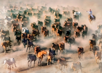 FRC acolhe mostra de Tam Keng