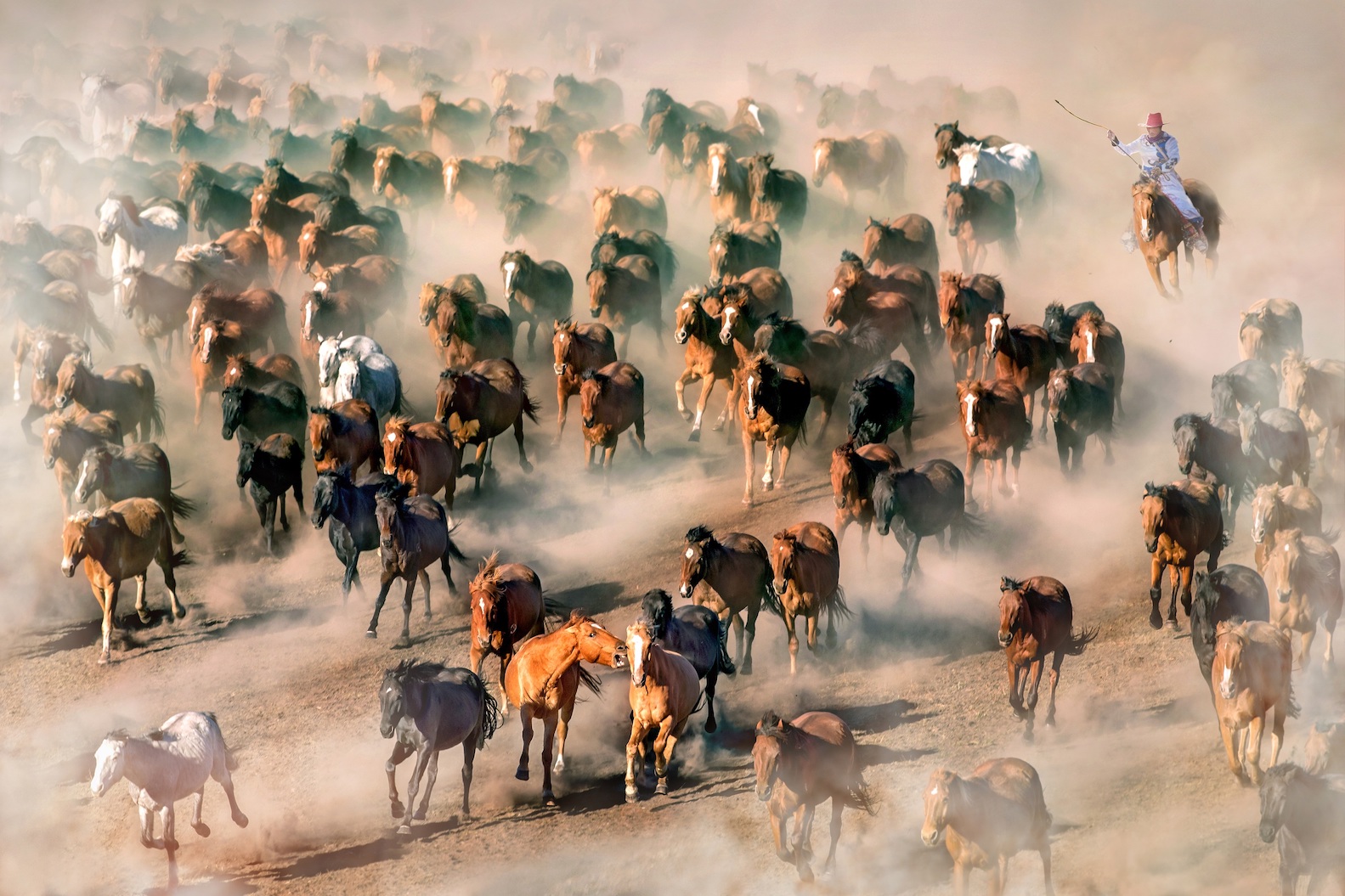 FRC acolhe mostra de Tam Keng