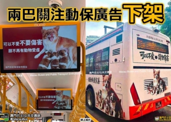 Publicidade | Suspensas mensagens a pedir fim de abusos contra animais