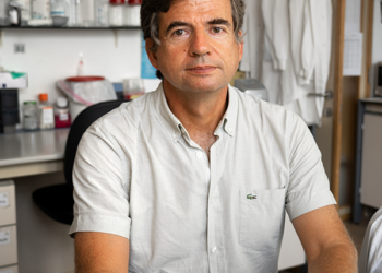 Medicina | Director da FMUL vinca aposta na formação “internacional”